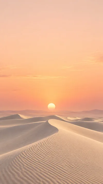 Ivory dunes rest beneath an open apricot sky.
