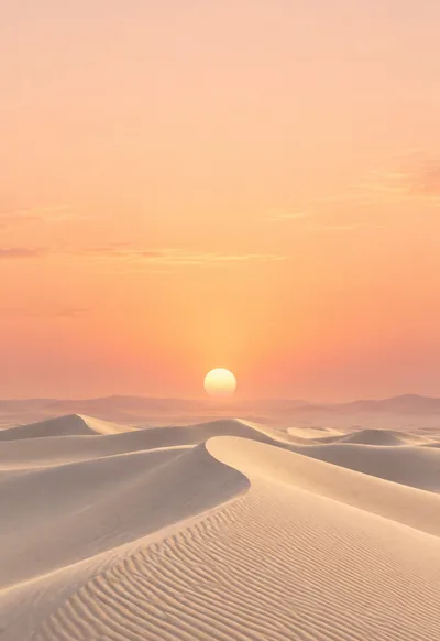 Ivory dunes rest beneath an open apricot sky.